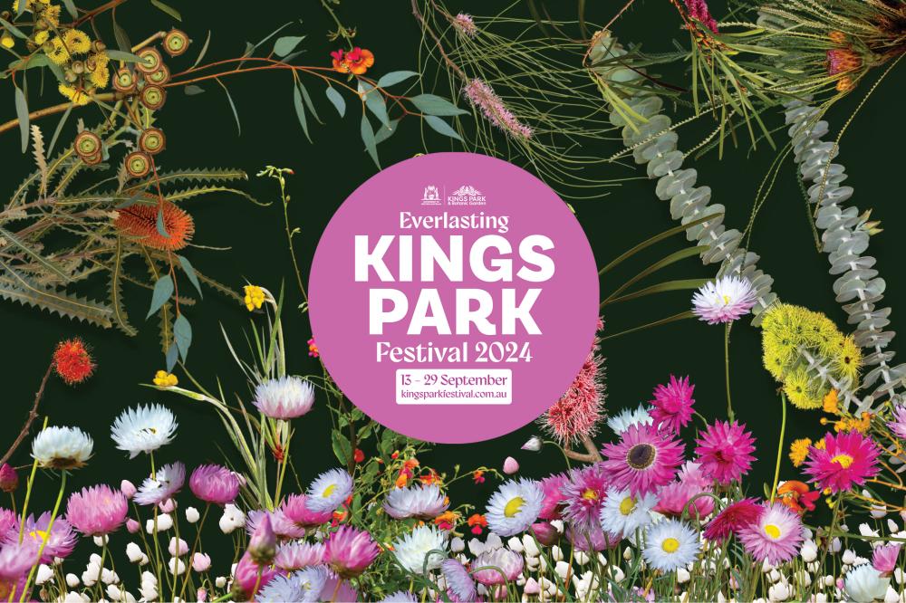 Explore the roots of Kings Park with Lightscape in 2024 Kings Park
